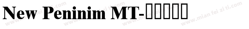 New Peninim MT字体转换